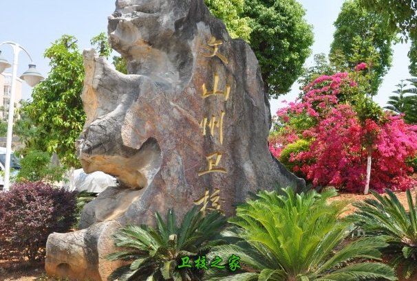 校园一景